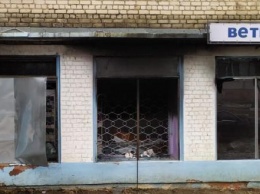 Причиной пожара в калужской ветклинике мог стать поджог