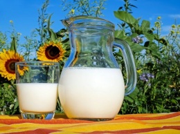 Американские ученые: молоко повышает риск развития рака груди