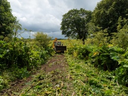 Зеленоградские власти обещают повышенный в 5 раз налог за пустующую сельхозземлю