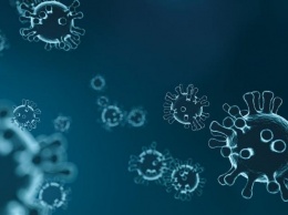 Ученые: Иммунный ответ на грибковые инфекции меняется после заражения вирусом