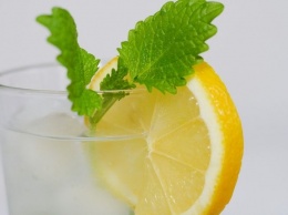 Испанский диетолог назвал целебные свойства воды с лимоном преувеличенными