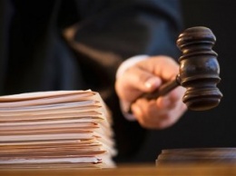 Житель Югры осужден на 2 года условно за убийство самки лося