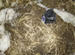 Жители Йошкар-Олы обнаружили на улице труп новорожденного