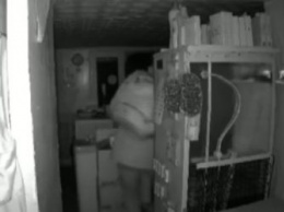 Камера в Приамурье зафиксировала кражу из торгового павильона