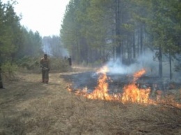Выявлять лесные пожары в Приамурье будут с помощью двух новых систем мониторинга