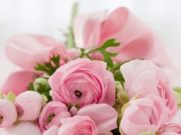 Флорист открыла секрет, как дольше радоваться цветам после 8 Марта