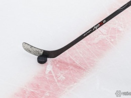 Кузбасский хоккеист отметился голом в матче НХЛ