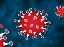 Российские ученые рассказали о возможности коронавируса стать хронической болезнью