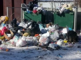 Белгородский мусорный оператор запускает в «осиротевшие» районы свою спецтехнику