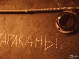 Кемеровские медики в борьбе с тараканами заделывают дыры