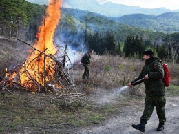 В Ялтинском заповеднике прошли учения по тушению лесного пожара