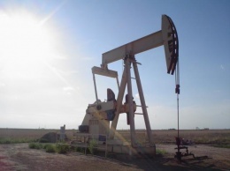 В МЭА назвали наиболее уязвимые страны в условиях падения цен на нефть