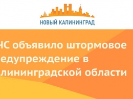МЧС объявило штормовое предупреждение в Калининградской области