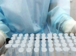 8 человек госпитализированы в Петрозаводске с подозрением на коронавирус