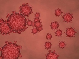 Власти Чехии ввели общенациональный карантин из-за коронавируса