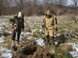 Под Багратионовском поисковики нашли сбитый Ил-2 и останки членов экипажа (фото)
