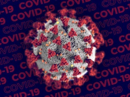 Количество зарегистрированных случаев инфицирования коронавирусом в России достигло 147