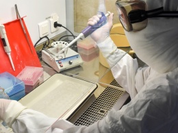 В Нижнем Тагиле откроют лабораторию для проверки анализов на коронавирус