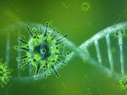 Российским ученым удалось полностью расшифровать геном коронавируса