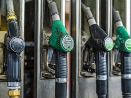 В ГД РФ призвали снизить цены на бензин