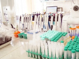 В Белгородской области тесты на коронавирус будут делать всем желающим