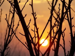 В Свердловской области климатическая весна наступит раньше обычного