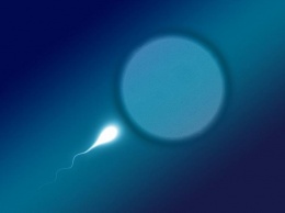 Ученые доказали негативное влияние стресса на качество спермы и развитие потомства