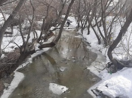 На реке Пивоварке в Барнауле расчистили затор