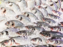 Рыбный союз просит власти РФ отменить контрсанкционный запрет на импорт рыбы