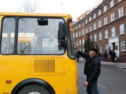 Правительство области закупило на 59 млн руб. автобусов для перевозки детей