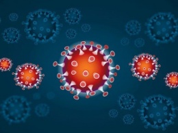В РФ зарегистрирована новая тест-система для определения коронавирусной инфекции