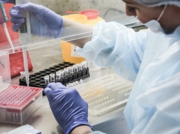 В Новосибирске разработали новую тест-систему выявления коронавируса