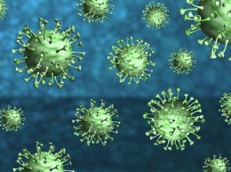 Главный инфекционист США предсказал вторую волну коронавируса