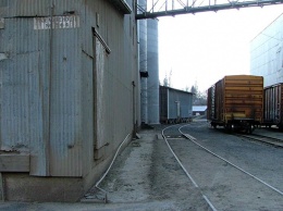 С Алтая по железной дороге за март отправили больше зерна, чем обычно