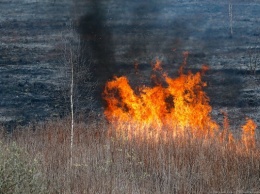 В первый день изоляции в Калининградской области продолжили поджигать траву