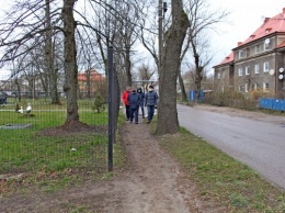 На ул. Ялтинской приостановили ремонт тротуара из-за защитников деревьев