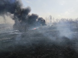 Белгородских пожарных беспокоит возросшее число возгораний сухой травы