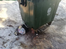 Кемеровские мусорщики вынуждают горожан трогать контейнеры с отходами