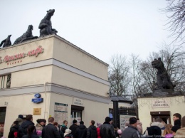 Калининградский зоопарк показал, как выглядят новые скульптуры на входе (видео)