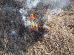 Спасатели предупредили об опасности пала сухой травы в Кузбассе
