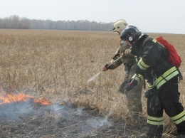 В Алтайском крае начались возгорания сухой травы