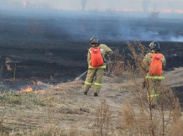 Сельхозпалы в Архаринском районе привели к природному пожару