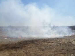 В Приамурье за два дня трижды задерживали поджигателей травы