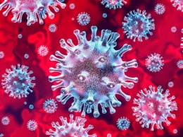 Количество зараженных коронавирусом выросло вдвое - 38. Подробности