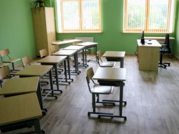 Школам в России разрешено досрочно завершить учебный год