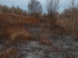 Национальный парк "Угра" пострадал от пожара