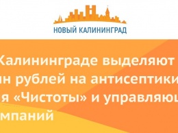В Калининграде выделяют 4 млн рублей на антисептики для «Чистоты» и управляющих компаний