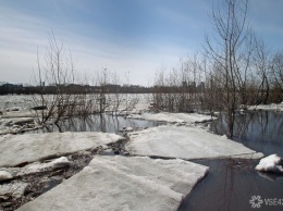 Следователи нашли в реке труп пропавшего в Новосибирске парня