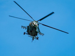 Полиция Сиднея подняла в воздух вертолеты для поиска подозреваемого в убийстве россиянина