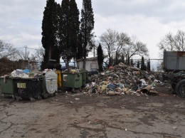 Мнение власти: мусорят в Ялте в основном горожане, а не приезжие
